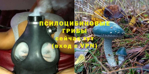 ГАЛЛЮЦИНОГЕННЫЕ ГРИБЫ Алзамай
