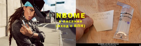 сатива Абинск