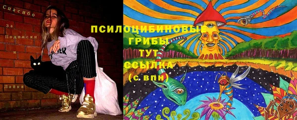 амфетамин Алексин