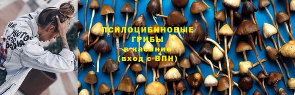 кокаин Алексеевка