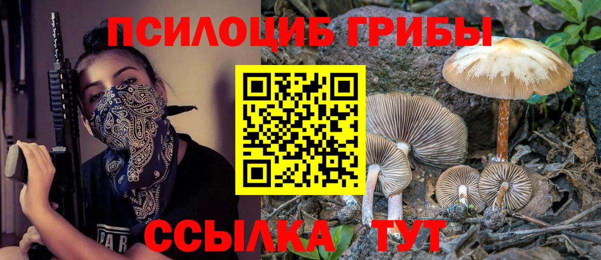 Псилоцибиновые грибы GOLDEN TEACHER Конаково
