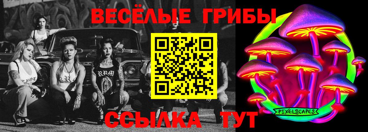 Конаково  Галлюциногенные грибы GOLDEN TEACHER  Вход с VPN 